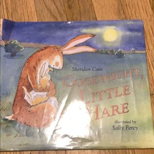 Book called good night little hair